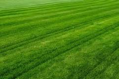 Why does my zero turn mower leave a strip of grass?