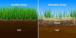 Will aeration get rid of thatch?