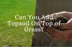 Does raking dirt help grass grow?