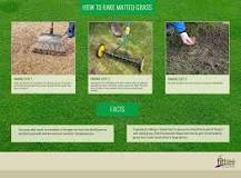 Will raking help grass grow?